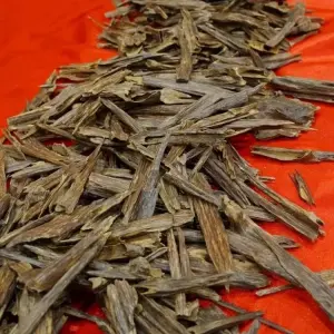 Oud _ Agarwood assam